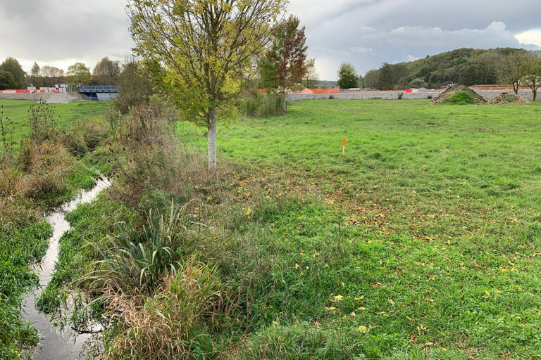Zone Humide compensatoire de la vallée de l’Iton