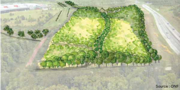 Illustration-boisement-1-843×421