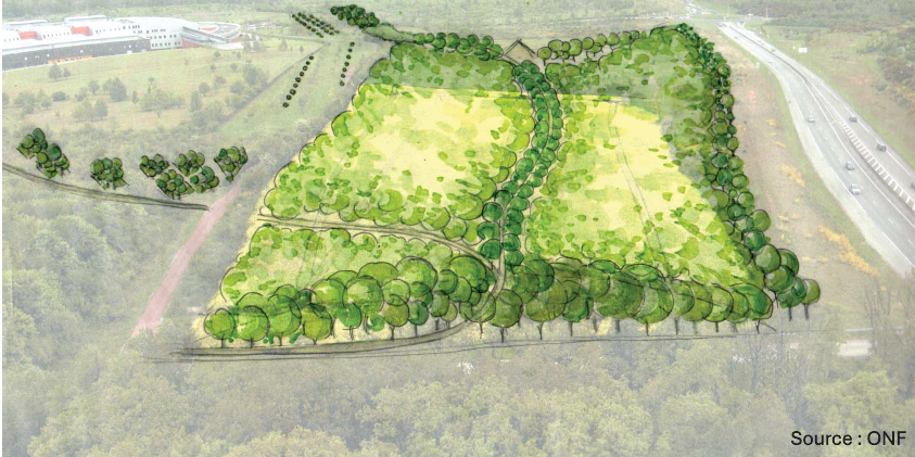 Illustration-boisement-1-843×421